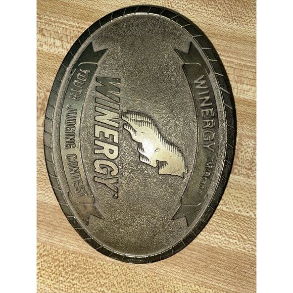 1992 Colorado Silver Star Oval Brass Belt Buckle Youth Judging Contest Winergy - Picture 2 of 6